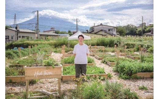 メール便発送 ハーブティーセット(ミント&レモン・シトラス&カモミール) 　ティーバッグ20個×2種 ハーブティー 詰め合わせ ミント レモン シトラス カモミール 無農薬 自然栽培 茶葉 グリーンティー ノンカフェイン SDGs 山梨 富士吉田