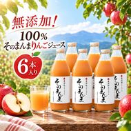 りんごジュース 無添加！ 100% そのまんま りんごジュース 6本入り | 飲料 ジュース 果実飲料 りんご ジュース 無添加 ストレート 長野県 伊那市 【015-65】