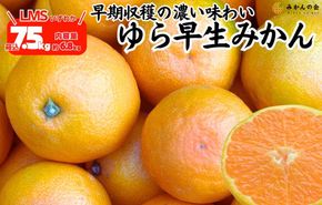 ゆら早生 みかん 箱込7.5kg (内容量 6.8kg) SMLサイズのいずれか 秀品 優品 混合 有田みかん 和歌山県産 【みかんの会】 AX364
