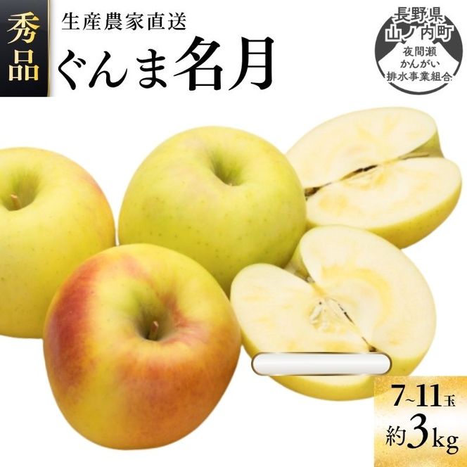 【2026年11月発送】ぐんま名月 秀品 約3kg 7～11玉 りんご 果物 信州 長野