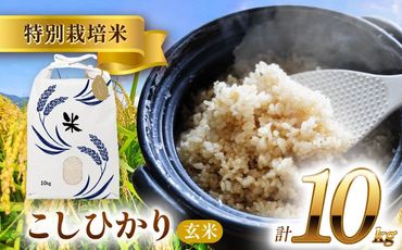 令和6年産 愛知県産コシヒカリ 玄米10kg 特別栽培米 お米 ご飯／戸典オペレーター[AECT023]