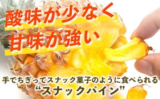 【先行予約】《2026年5月上旬頃より順次発送》石垣島産 スナックパイン (3玉 約3kg) 【 産地直送 沖縄 石垣 パイナップル パイン スナック フルーツ トロピカル 南国 】TP-7-1