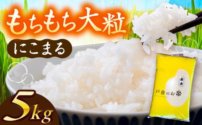 �y���m�������s�z�_2026�N1���������^�ɂ��܂� ���� 5kg / �ˑq�g���N�^�[[AECS055-01]