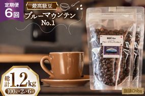【6回定期便】 コーヒー豆 ブルーマウンテン 100g 2パック [珈琲Chiba 福岡県 筑紫野市 21761424] コーヒー 珈琲 豆 珈琲豆 セット ブルーマウンテンNo.1 ブルマン 豆のまま おいしい coffee bean beans 定期 定期便 6ヶ月 6回