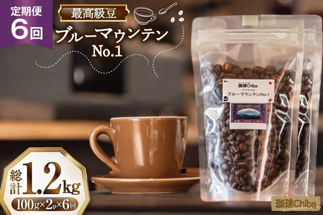 【6回定期便】 コーヒー豆 ブルーマウンテン 100g 2パック [珈琲Chiba 福岡県 筑紫野市 21761424] コーヒー 珈琲 豆 珈琲豆 セット ブルーマウンテンNo.1 ブルマン 豆のまま おいしい coffee bean beans 定期 定期便 6ヶ月 6回