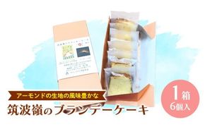 筑波嶺 の ブランデー ケーキ 1箱(6個入) ブランデーケーキ お菓子 おかし 菓子 銘菓 焼き菓子 [AT008ci]