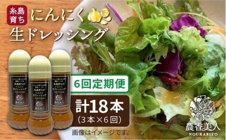 【 全6回 定期便 】糸島 そだち の にんにく ドレッシング × 3本 セット《糸島》【農香美人】[AAG022] にんにく 生ドレッシング 栽培期間中 農薬不使用 万能ドレッシング 糸島 定期便