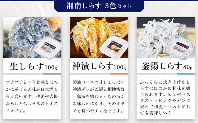 湘南しらす　3色セット｜魚介 湘南産しらす 食べ比べ 人気 おすすめ しらす 小魚 海産物 おつまみ 冷凍 食品 加工品 おすすめ 人気 送料無料 神奈川県 小田原市 142069_DV013