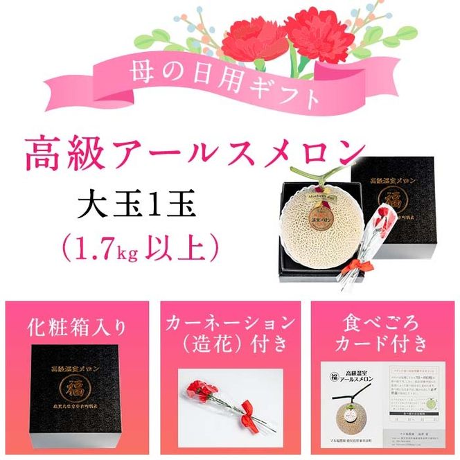 【0151112a-M】＜母の日ギフト・数量限定＞高級アールスメロン(大玉1玉・1.7kg以上、カーネーション(造花)付) メロン フルーツ 果物 果実 1キロ 数量限定 期間限定 贈答 贈り物 母の日【マル福園芸組合】
