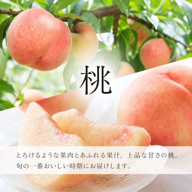 【全2回 定期便】 紀州和歌山産旬のフルーツセット（8月：桃約1.8kg・9月：梨約2kg） ［UT139］ 303446_XF91185