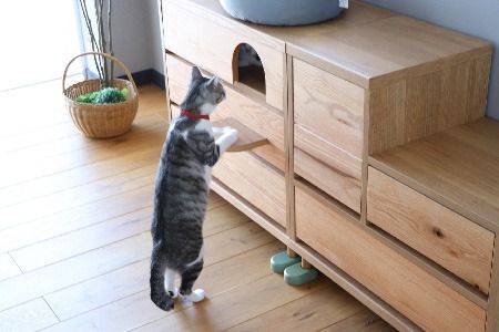 【東馬家具】TRM020 トンネルチェスト【天然木 ナチュラルデザイン 収納アイテム 猫 ステップ トンネル かわいい キュート 完成品 脚のみ取付】(H060617)