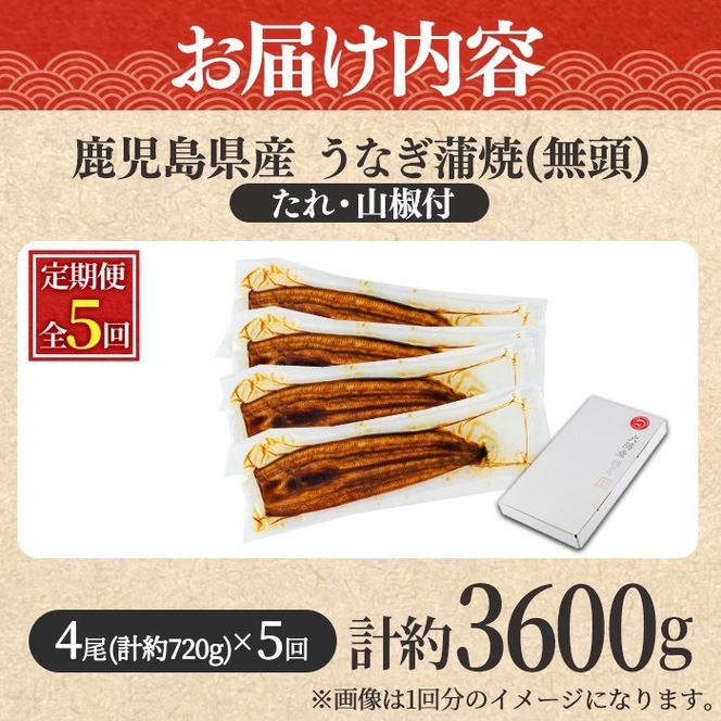 【1254305b】＜定期便・全5回＞東串良町のうなぎ蒲焼(無頭)(4尾・計約720g・タレ、山椒付×5回)うなぎ 高級 ウナギ 鰻 国産 蒲焼 蒲焼き たれ 鹿児島 ふるさと 人気【アクアおおすみ】