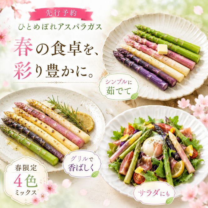 【先行予約】春限定 ひとめぼれアスパラガス 1kg 4色 食べ比べ グリーン パープル ピンク ホワイト 産地直送 農家直送 野菜 新鮮 旬 アスパラ 春野菜 サラダ カラフル バーベキュー BBQ おすそ分け ファミリー 大容量 ギフト 送料無料