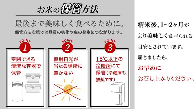 ＼選べる品種・内容量 ／ 令和8年産 新米 先行予約 【11月出荷】 コシヒカリ 品種おまかせ 5kg 10kg 20kg （精米） 茨城県つくばみらい市産 こしひかり コシヒカリ あきたこまち ひとめぼれ ふくまる ゆめひたち ミルキークイーン にじのきらめき 米 コメ こめ 単一米 限定 茨城県産 国産 美味しい お米 おこめ おコメ