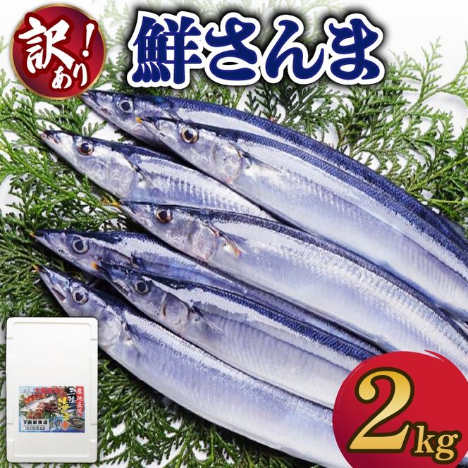 訳あり 鮮さんま 約2kg 冷蔵 さんま サンマ 秋刀魚 生さんま 【 yoshidasyouten013_1】