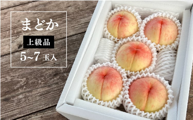 【2026年先行予約】まどか 白桃 上級品 5-7玉入 (岡山県産)【KF-A022-02】