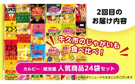 【 スナック菓子 3ヶ月 定期便 】 カルビー 湖池屋 人気 48袋 詰め合わせ バラエティ セット スナック ポテトチップス ポテチ ポテトチップ 菓子 お菓子 おかし おやつ おつまみ 大量 BIGBAG 堅あげポテト のりしお うすしお ブラックペッパー 頒布会 ジャガイモ じゃがいも まとめ買い [DA018us]