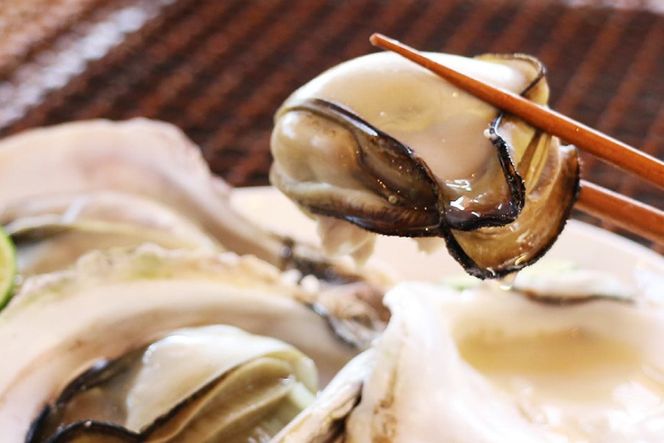 【期間限定発送】牡蠣 岩牡蠣 殻付き 細島 岩ガキ 約 2kg [日向サンパーク 宮崎県 日向市 452061757] かき カキ 岩牡蠣 岩がき 貝 海鮮 魚介 魚介類 冷蔵 新鮮 ふるさと納税 濃厚 クリーミー BBQ 焼き牡蠣 蒸し牡蠣 ほそしま 日豊海岸