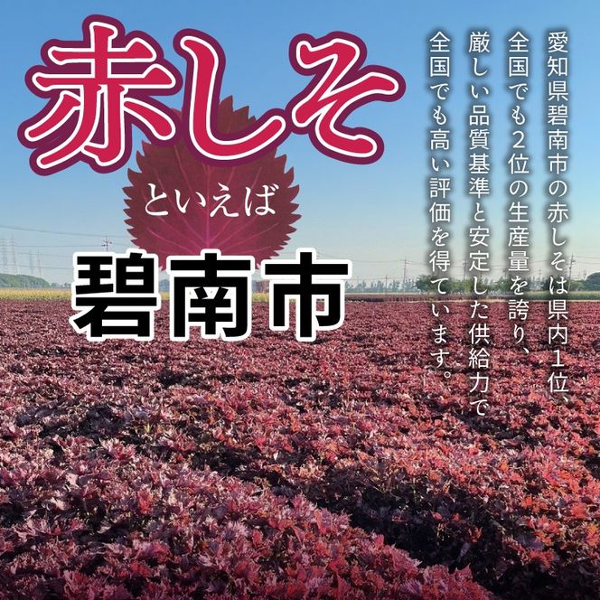 『一番摘み赤しそドリンク～18年熟成梅寿酢仕立て～』 300ｍｌ１本 一番摘み赤しそ 国産梅 無添加 こだわり 飲料 18年以上 熟成 エキス 清涼飲料水 食前 シロップ アイスクリーム 七福醸造 H001-120