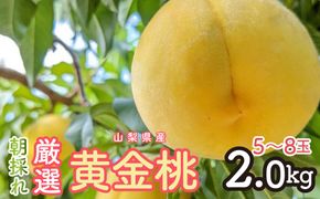 2026年発送 朝採れ！厳選！山梨県産 黄金桃2Kｇ 5～8玉 SWCM002