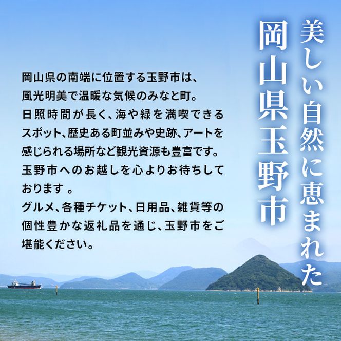 エプソムソルト シークリスタルス モイスチャーライザー 入浴剤 2.2kg×2個 