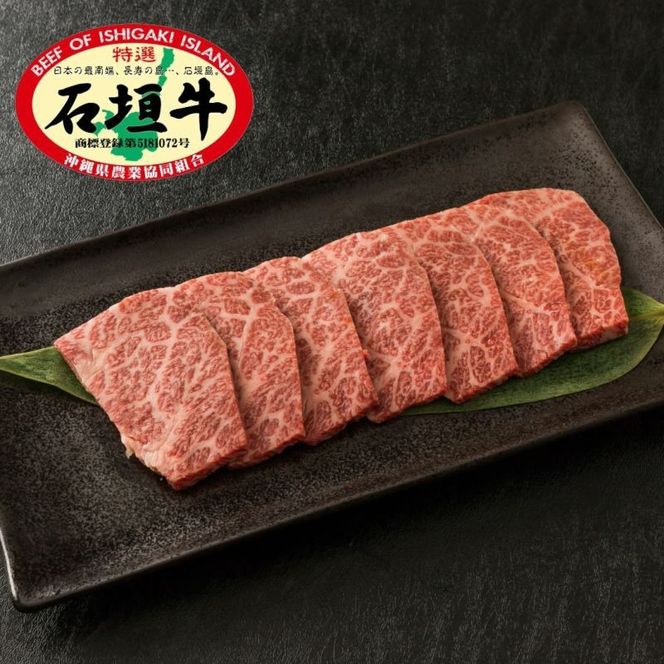 yꌧΊ_szΊ_ I  ē 400g E-43