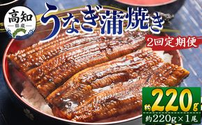 うなぎ 定期便【２回定期便】高知県産養殖うなぎ蒲焼き 約220g×１尾 魚介 国産 海鮮 魚 かばやき 鰻 ウナギ 惣菜 おかず お手軽 加工品 加工食品 冷凍 Wfb-0057