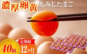 濃厚卵黄もみじたまご【40個入り】【12ヶ月連続】定期便 [No.938]