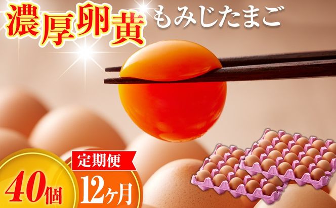 濃厚卵黄もみじたまご【40個入り】【12ヶ月連続】定期便 [No.938]