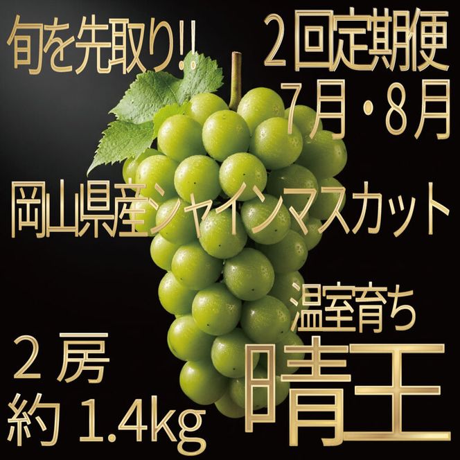 [HS]【定期便全2回】ぶどう先行予約7月・8月発送温室シャインマスカット晴王2房（合計約1.4kg）ブドウ 葡萄  岡山県産 国産 フルーツ 果物 ギフト デザート 食後 酸味が少ない 産地直送