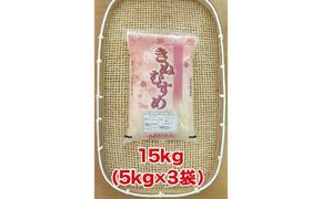 【ふるさと納税】お米　令和7年産　出雲きぬむすめ5kg×3袋 322032_EH010
