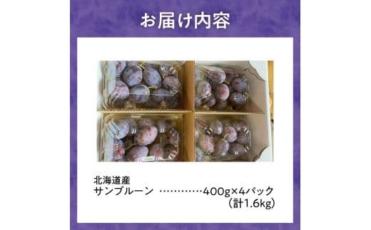 【先行予約：2026年9月中旬以降発送】小玉で食べやすい！ 余市産 生プルーン 1.6kg サンプルーン 甘酸っぱい_Y127-0018