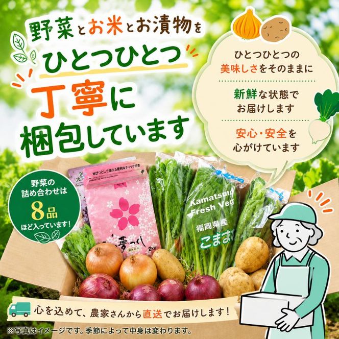 【定期便 年6回】おいしかぁ～便 詰め合わせセット 6ヶ月 お楽しみ ファミリーセット 家族用 野菜 やさい 米 新鮮 新鮮野菜 家庭用 新鮮 福岡県 大刀洗町