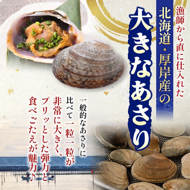 北海道 厚岸産 あさり 500g×1パック (合計500g) 大中混合 アサリ 魚貝 海 美味しい 栄養 旨み 砂出し 水洗い 冷蔵 冷凍保存可能 便利
