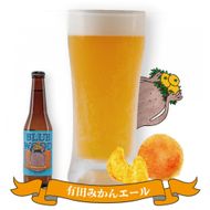 クラフトビール 有田みかんエール 6本セット  CS038