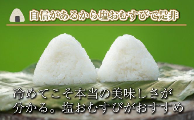 【令和8年産 新米】 【定期便／全12回】精米3kg　新潟県魚沼産コシヒカリ「山清水米」十日町市 米
