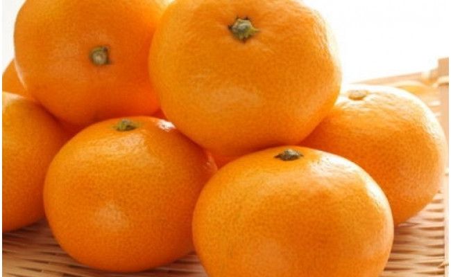 【産直・秀品】和歌山下津みかん 約6kg（2Lサイズ）