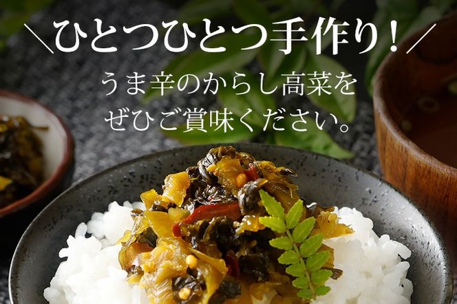 辛子高菜 240g×4パック 山賊の高菜 からし高菜 メール便 ポッキリ お米に合う ご飯のお供 おつまみ 国産 無添加 お取り寄せ 福岡 お土産 九州 グルメ 福岡県