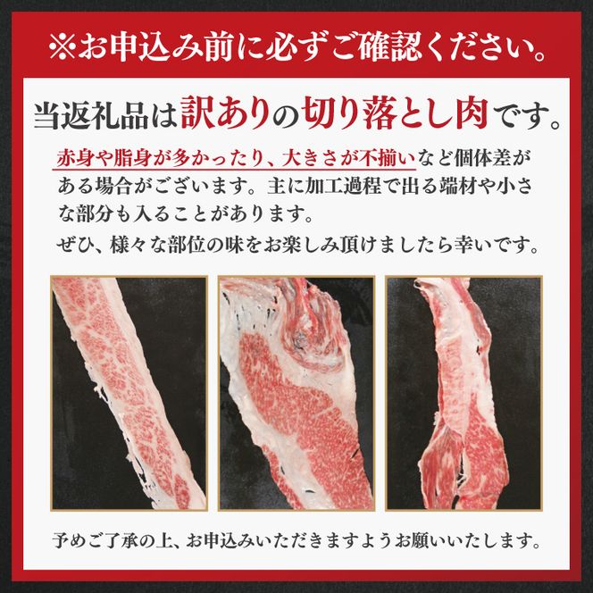 ★常陸牛A5ランク★【訳あり】常陸牛切り落とし(薄切り) 約900ｇ(約300g×3パック)｜肉 お肉 肉類 訳あり わけあり ワケアリ 常陸牛 A5 切り落とし 茨城県 行方市 人気 送料無料(DT-53)