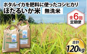 ほたるいか米（無洗米20kg）×6回 計120kg【6ヶ月定期便】