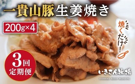 [全3回定期便]焼くだけ定番おかず!一貴山豚 生姜焼き 4パック 糸島市 / いきさん牧場 [AGB016] 生姜焼き 冷凍 焼くだけ 子供 豚肉 福岡 ブランド豚 豚肉