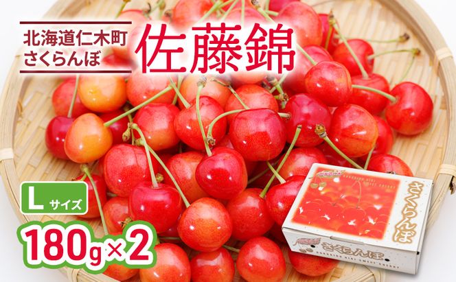 2027年発送 北海道 仁木町産 さくらんぼ 佐藤錦 180g×2P Lサイズ   サクランボ チェリー フルーツ 果物 果物類 仁木町 仁木 [林果樹園]