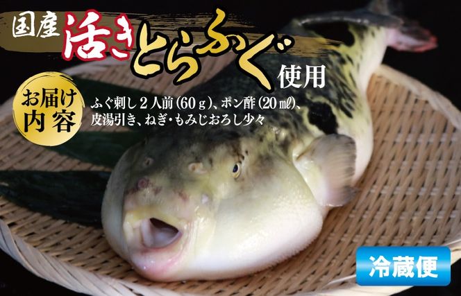 099H3375 国産活け とらふぐ ふぐ刺し 2人前【てっさ ふぐ フグ ぽん酢付 冷蔵 海鮮】