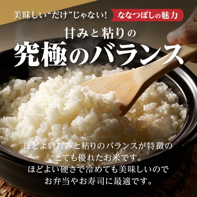 特A 北海道滝川産 ななつぼし 無洗米 10kg 9ヵ月定期便【R8年産】お米マイスター 新米 単一米 産地限定米 ブランド米 北海道米 北海道産 白米 精米 米 こめ お米 ご飯 おにぎり 道産 送料無料 むせんまい 限定