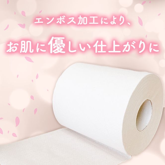 【定期便6回】「出番です」トイレットペーパー 12ロール 個包装 ストック 備蓄 防災対策 肌に優しい エンボス加工