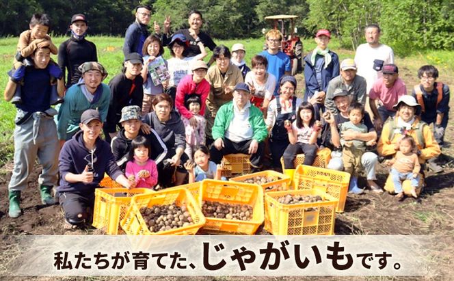 北海道十勝 ミナイカシのワイルドジャガイモおまかせ2種 計3kg 【栽培期間中農薬不使用】自然栽培 じゃがいも【 芋 いも ジャガイモ 野菜 食品 人気 産直 産地直送 北海道 幕別 】