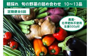 【6回定期便】栽培期間中に農薬不使用の生姜200gと旬の野菜詰め合わせ10～13品目 野菜 野菜セット 詰め合わせ しょうが ショウガ 旬 新鮮 朝どれ 取り寄せ【株式会社SIMA】 [BQAZ007]