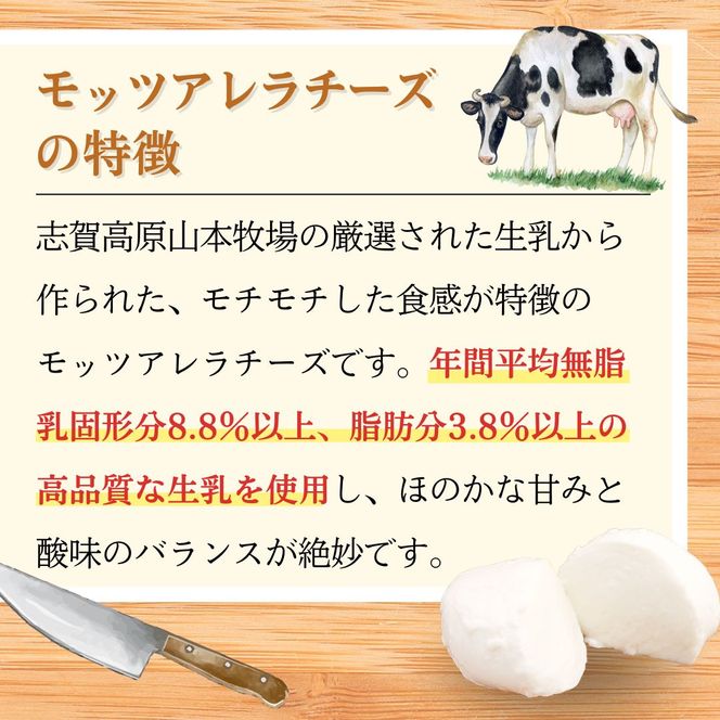 志賀高原で育った モッツアレラチーズ100g 4袋セット 加工食品 乳製品 