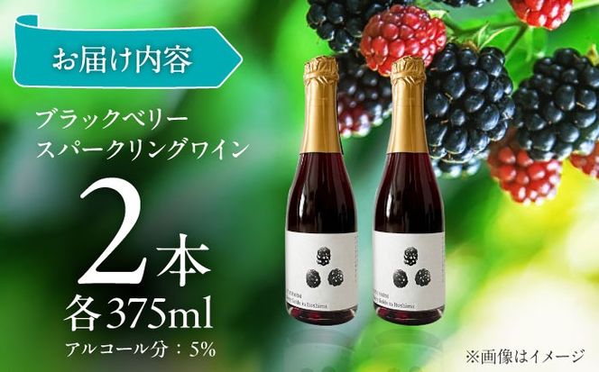 2024年産 糸島産ブラックベリースパークリングワイン 375ml 2本セット / 糸島市 / HYM FARM / お酒 赤ワイン[AHM003] ワイン ブラックベリー 贈り物 375ml 糸島 果実酒 赤ワイン フルーツ