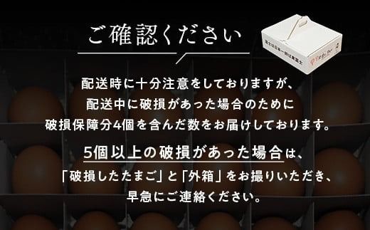 1年間定期便！「御殿たまご」赤たまご20個+破損保障分4個（6ヶ入P×4P）×月2回（5日着、20日着）×12ヵ月　全24回《御殿場こだわり推奨品》　※北海道、沖縄、離島への配送不可